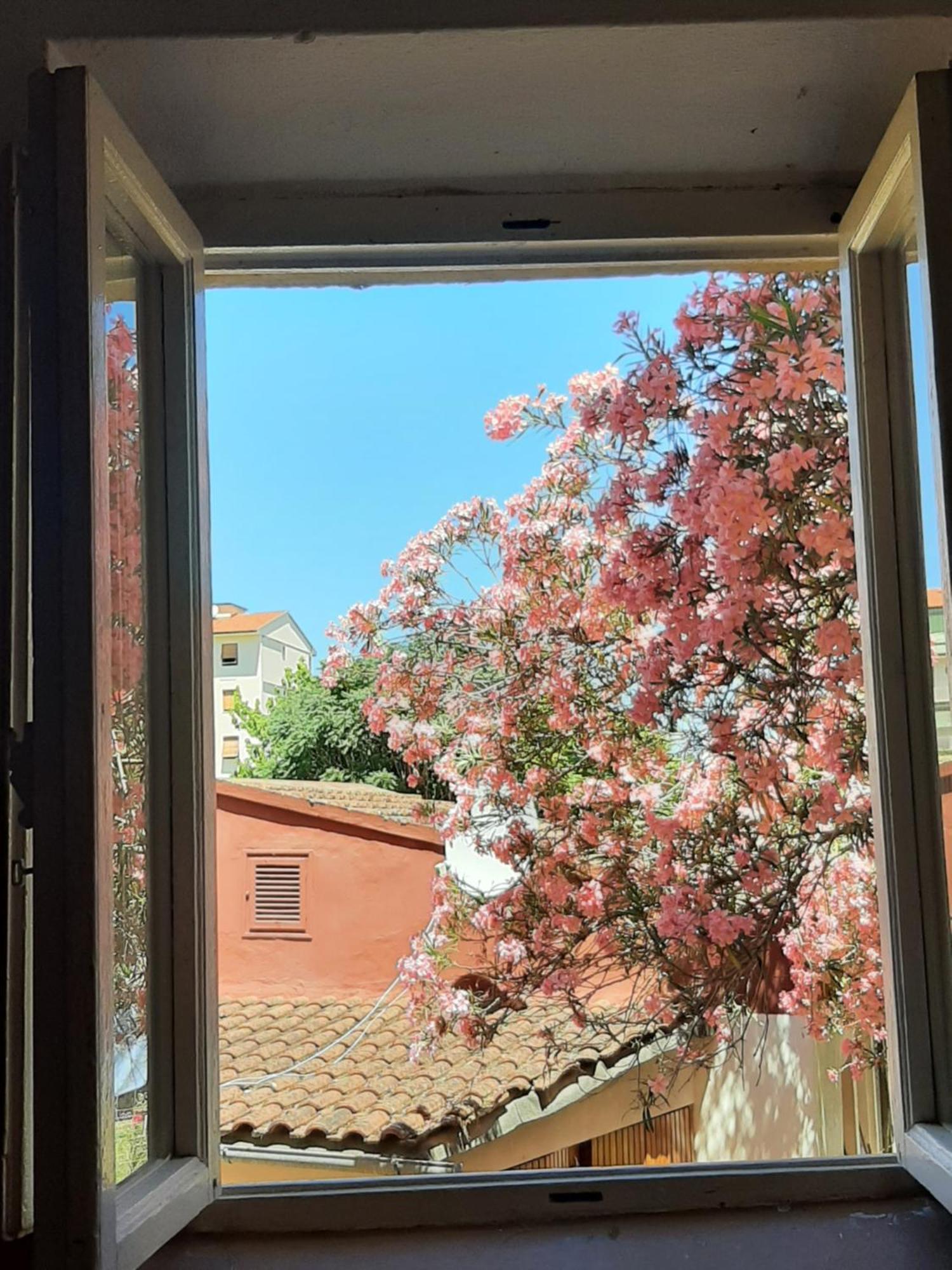 Apartamento Mary&flo House - A Due Passi Dal Centro - Free Private Parking Florença